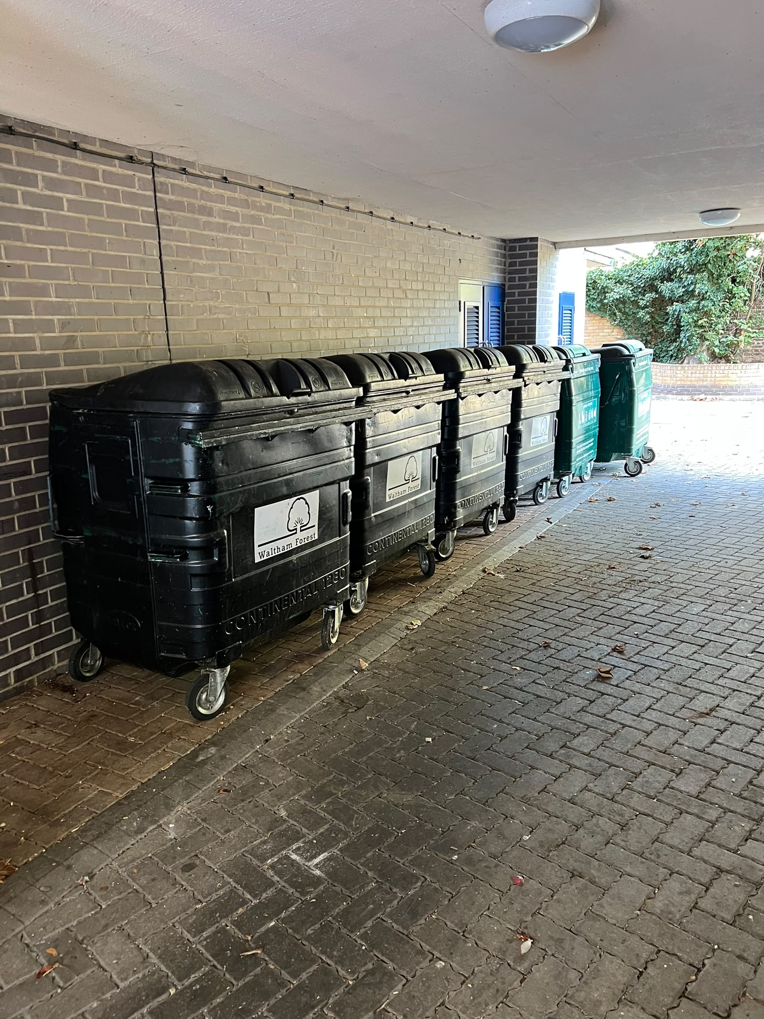 Waste clearance project follow-up photograph